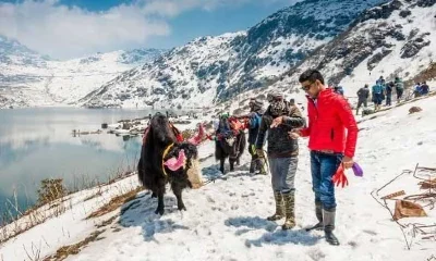 darjeeling tour package, darjeeling travel