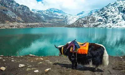 darjeeling tour package, darjeeling travel